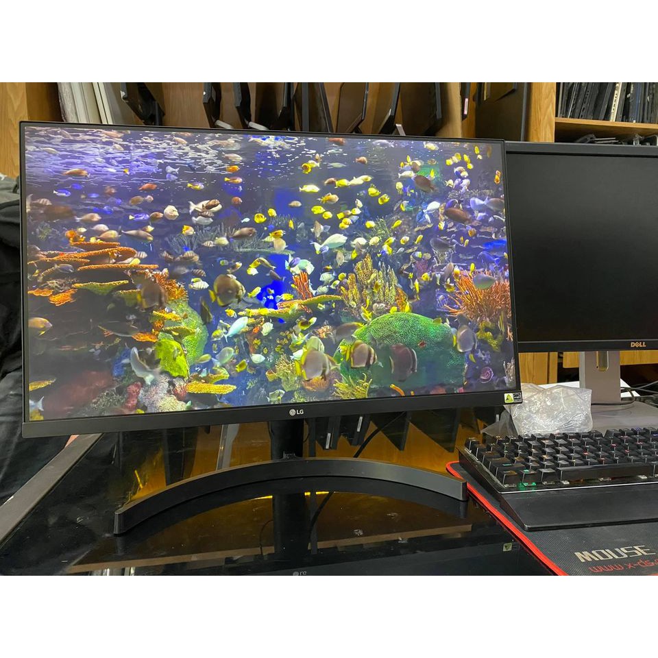 Màn hình 20 -24 - 27 - 32in full viền giá rẻ | BigBuy360 - bigbuy360.vn