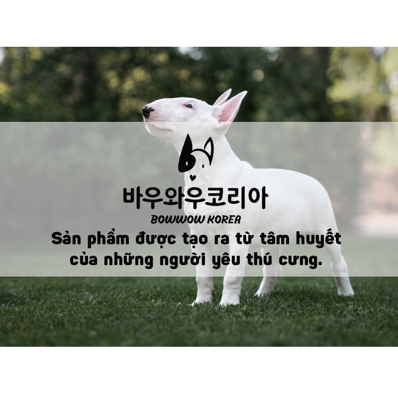 [Dành Cho Chó Con] Thức ăn Cho Chó Xúc Xích Phomai Việt Quất BOWWOW Tăng Canxi Dinh Dưỡng Ít Béo - Bobo Pet Shop Hà Nội