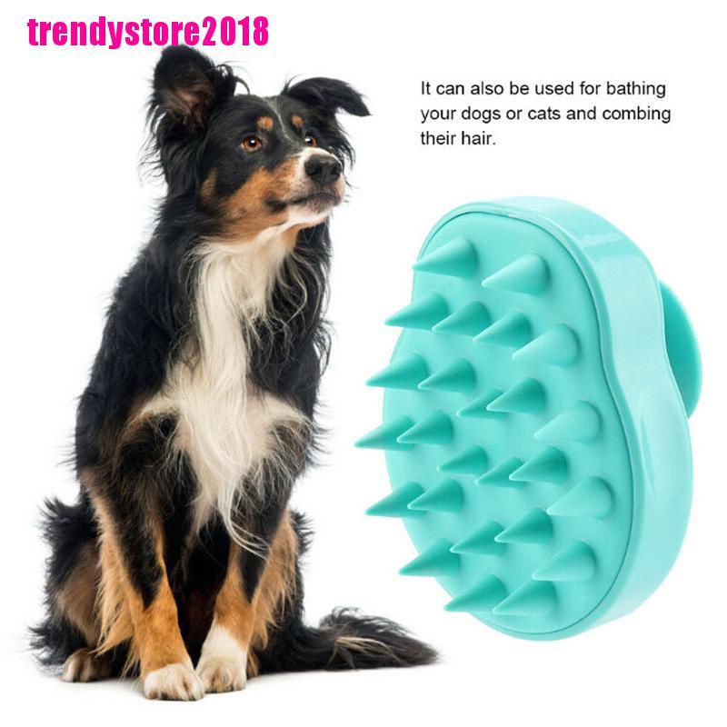 1 Bàn Chải Silicone massage Da Đầu Khi Tắm