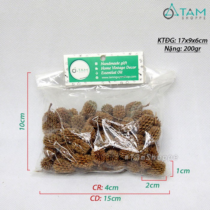 [TRÁI THẬT] Bịch 100gr trái thông liễu khô tự nhiên trang trí F-HKHO-12