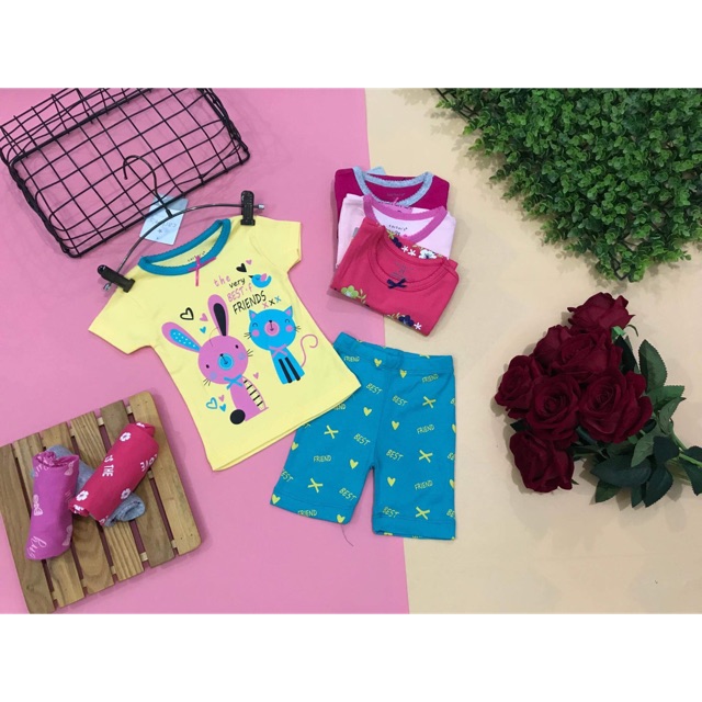 Sỉ combo bộ bozip