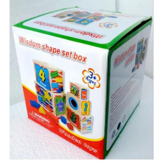 Đồ chơi hộp thả khối gỗ, xếp tháp 5 tầng lớp phát triển tư duy cho bé