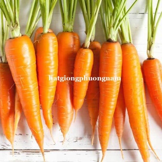 3GR - HẠT GIỐNG CÀ RỐT F1