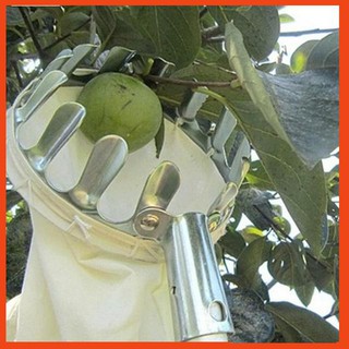 Dụng cụ hái quả, hái trái cây đa năng chất lượng tốt
