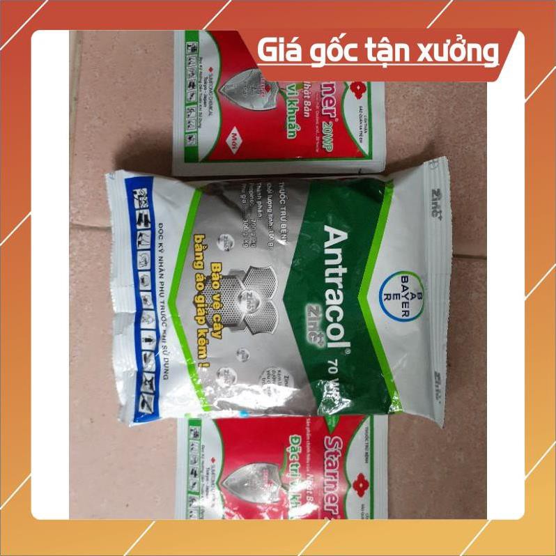Combo bộ 3 sản phẩm đặc trị nấm bệnh trên Hoa Lan
