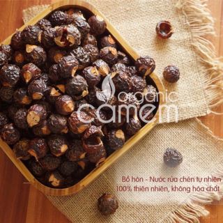 Quả Bồ Hòn Làm nước rửa chén, nước Lau Nhà , đảm bảo an toàn. Không hóa chất.