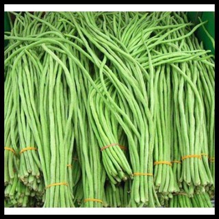 Hạt Giống Đậu Đũa Bụi Ngọt Rado757 20g/gói - Sinh Trưởng Mạnh, Giúp Giảm Cân, Chống Oxy Hóa, Tốt Cho Hệ Tiêu Hóa