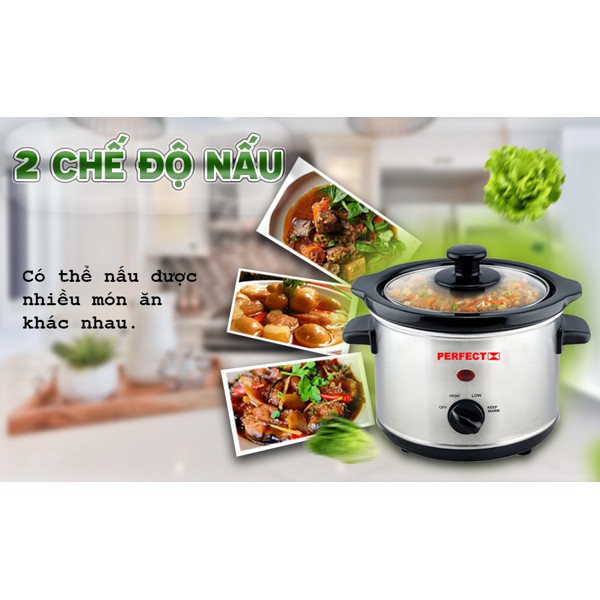 Nồi Nấu Chậm Đa Năng Perfect PF-S09 (2.5 Lít) - Hàng Chính Hãng (hầm thịt, kho thịt, kho cá, nấu cháo, nấu canh)