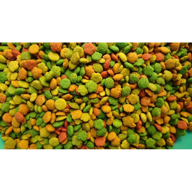 Hạt trái cây G14 dành cho vẹt gói lẻ 100g