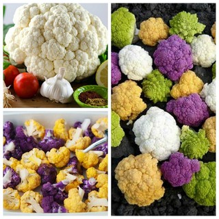 Hạt giống Súp Lơ Nhiều Màu