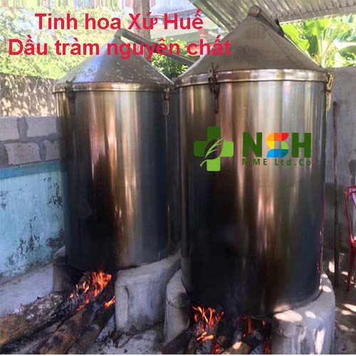 Tinh chất dầu tràm nguyên chất xứ Huế Tinh dầu tràm năm gân xứ Huế Thái Hà