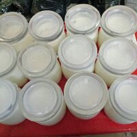 Hũ thủy tinh làm sữa chua có nắp 100ml