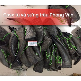 Tù Và Sừng Trâu TVST-3511