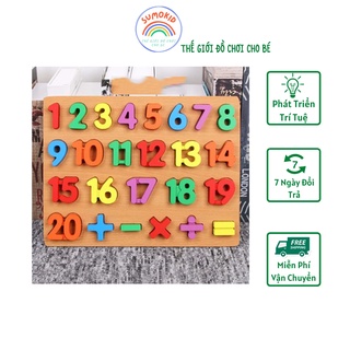 Bảng chữ cái nổi Tiếng Việt, bảng số nổi và phép tính 30x22cm cho bé, bảng gỗ nổi học chữ số