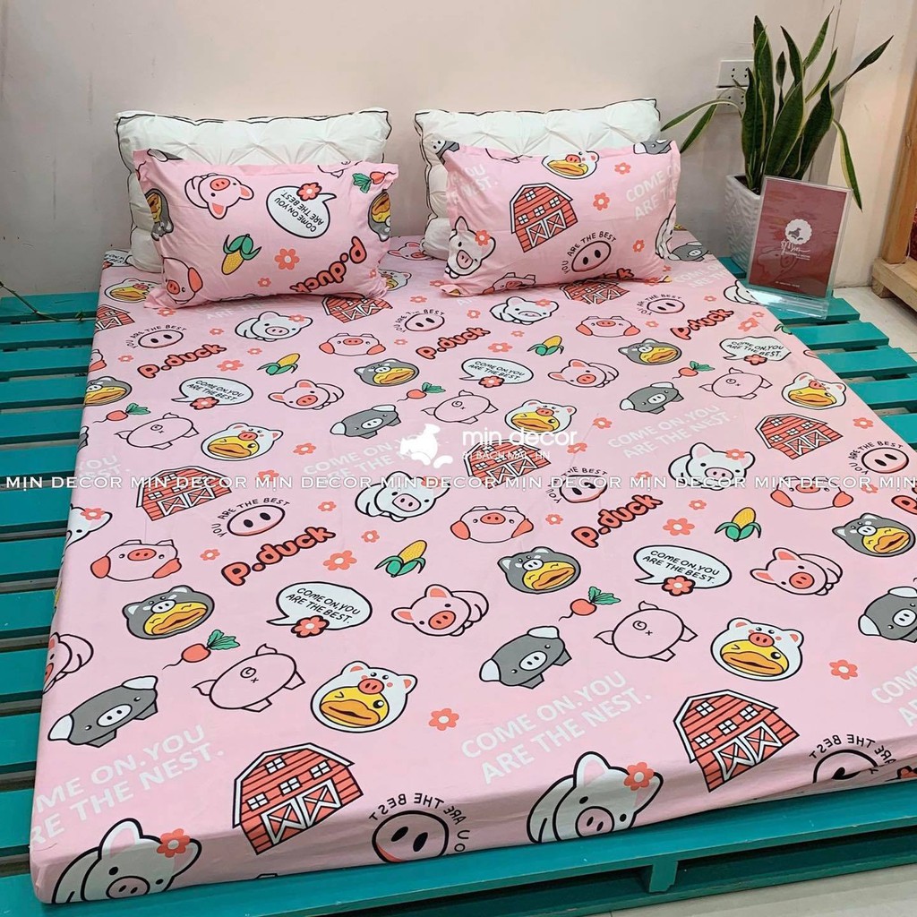 Bộ drap nệm 1m6 x 2m / 1m8 x 2m 1 ga chun 2 vỏ gối nằm 45 x 65 MẪU HEO HỒNG