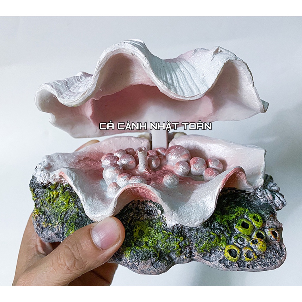 SÒ ĐÓNG MỞ NẮP TRANG TRÍ BỂ CÁ CẢNH DÀI 15CM