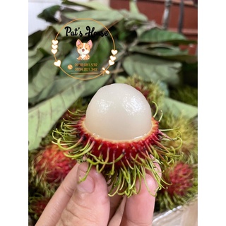 Chôm chôm Thái ngon bổ rẻ