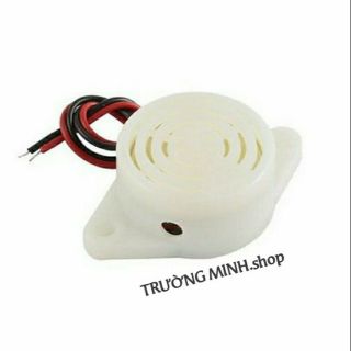 Còi báo động mini sfm-27 / 3-24v