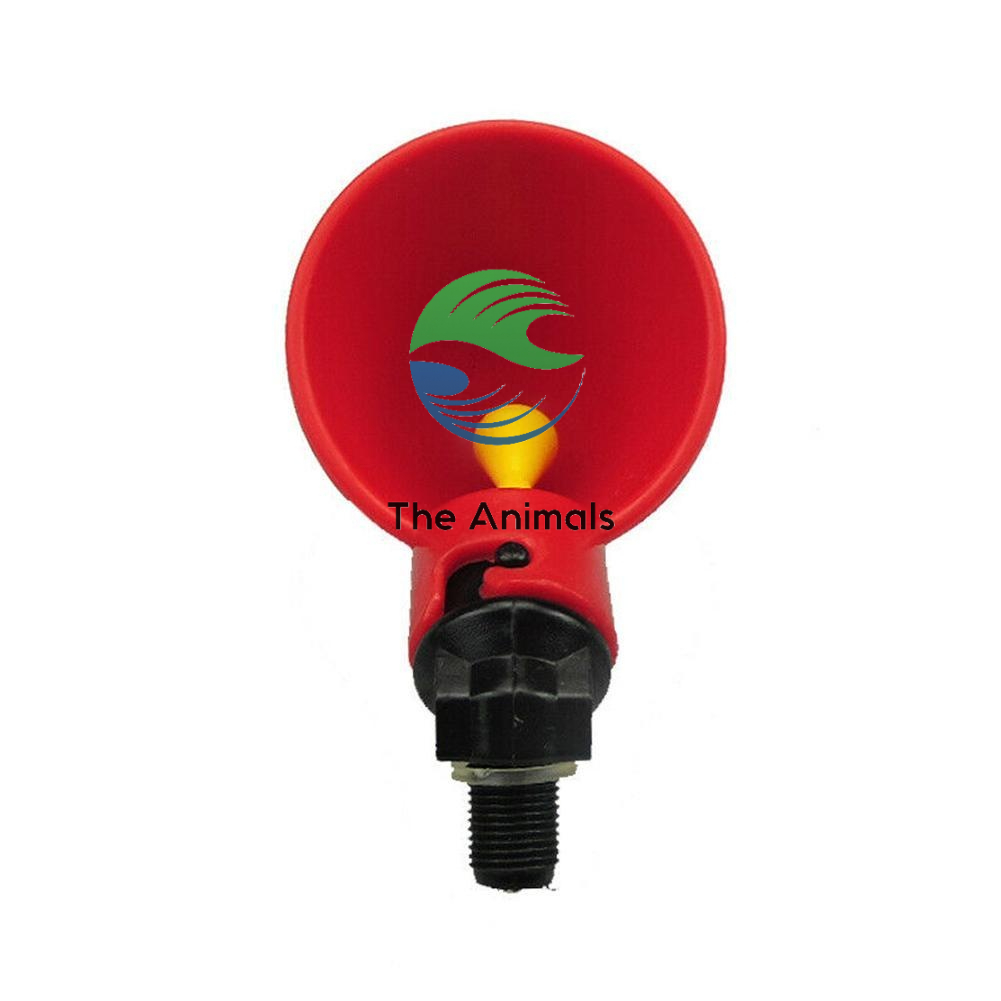 [COMBO 5 CÁI] Cốc uống nước tự động cho gà No brand