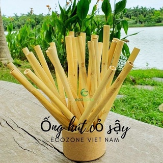 [Có bảo hành] Túi 50 ống hút cỏ sậy  khô 20cm Ecozone hàng xuất khẩu có thể tái sử dụng dùng uống cafe sinh tố smothies