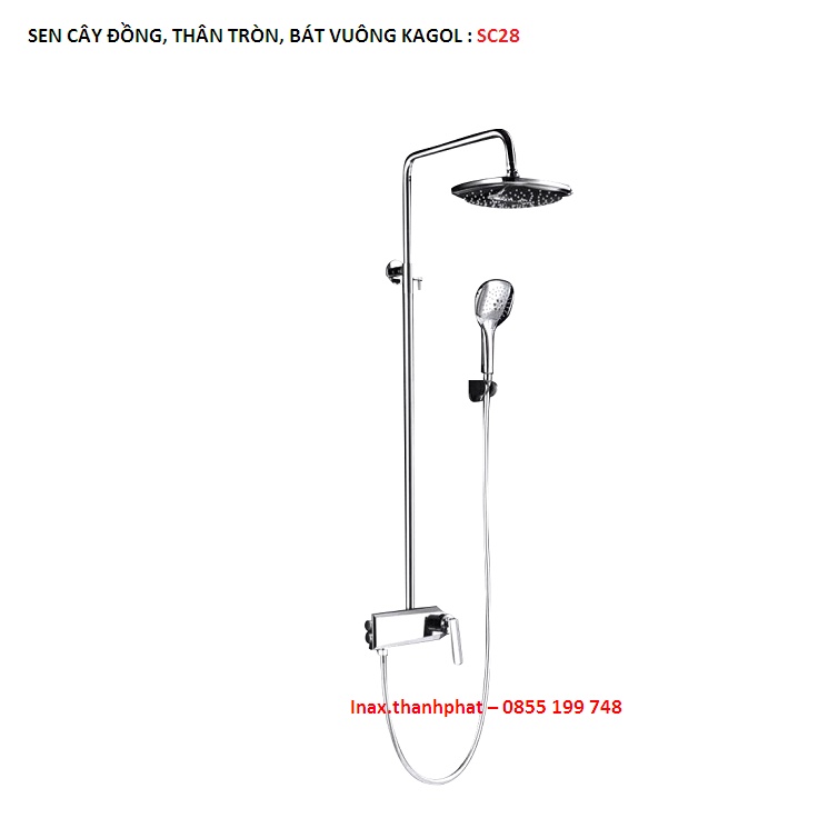 Sen cây Đồng thân tròn - Bát Vuông Kagol, TP-SC28