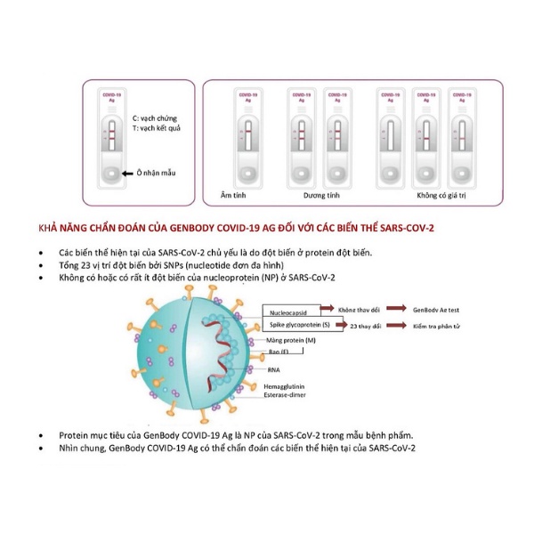 Que test covid Hàn Quốc, test nhanh covid 19 Genbody.