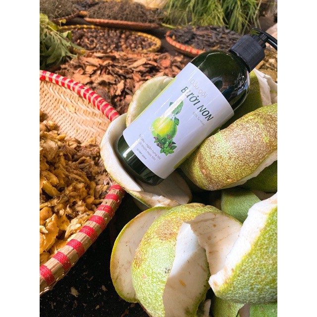 Dầu gội bưởi non kích thích mọc tóc, phục hồi tóc hư tổn chai 480ml | BigBuy360 - bigbuy360.vn