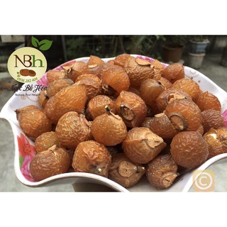 Bồ hòn tuyển chọn loại 1