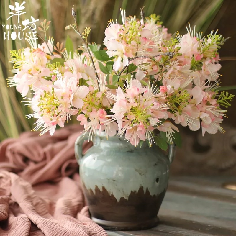 Hoa giả - Hoa phượng hoàng