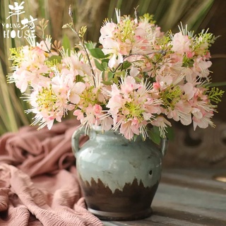 Hoa giả - Hoa phượng hoàng