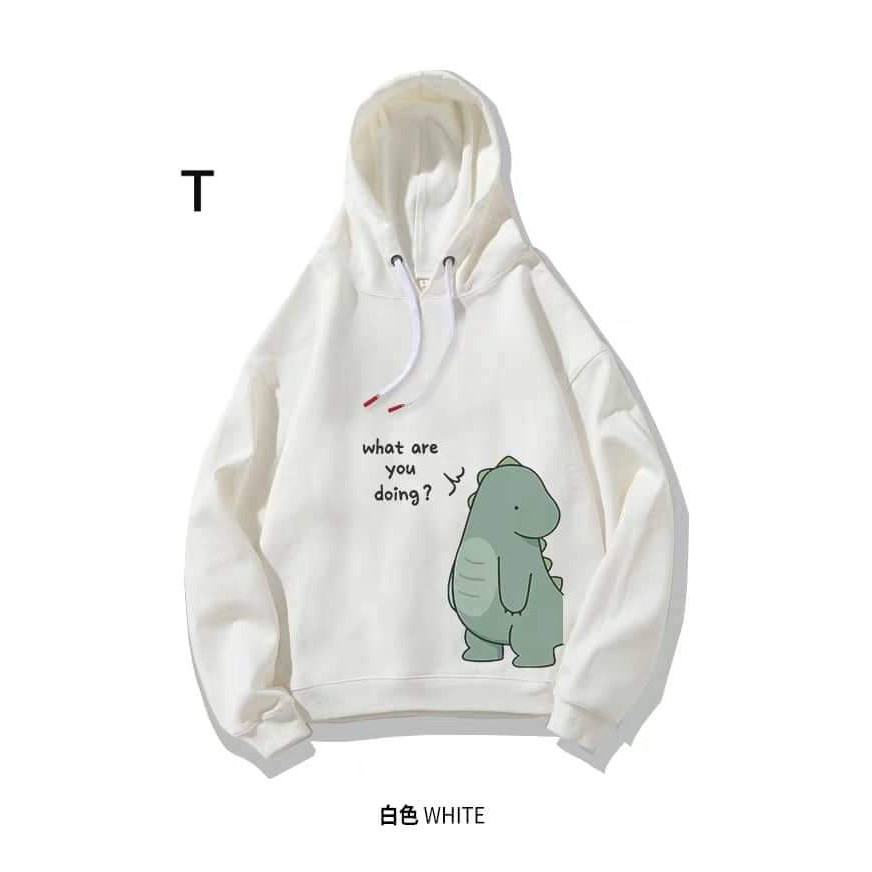 Áo đôi hoodie khủng long What are DTR1119