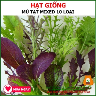 Hạt Giống Cải Mù Tạt Mizuki 10 Loại 10 Gram