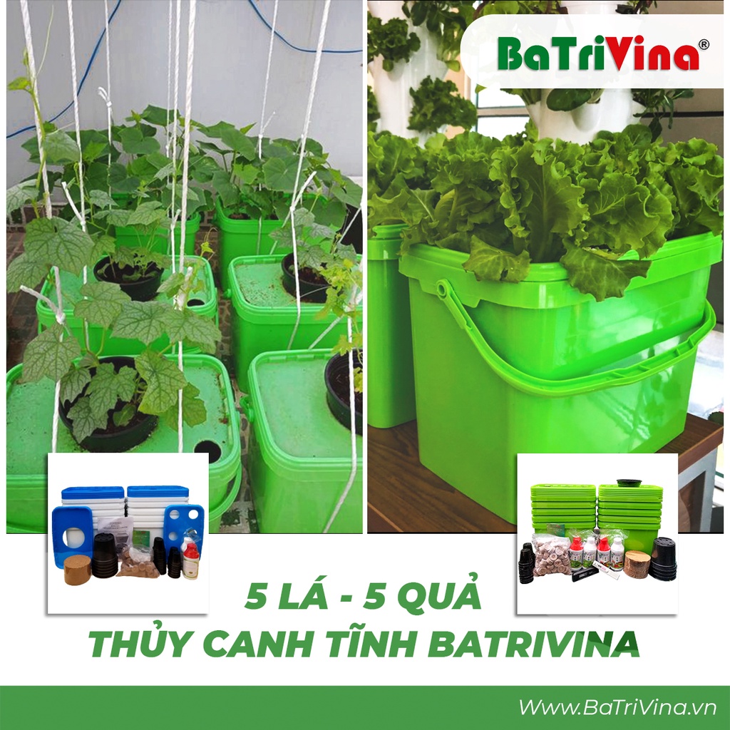Bộ thùng nhựa trồng rau thủy canh tĩnh - combo 5 lá 5 quả - trồng được nhiều loại rau, dễ sử dụng và hiệu quả cao