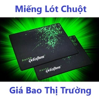 Tấm Lót Chuột Goliathus Hàng Cao Cấp,Miếng Lót Chuột Độ Bền Cao - Giá Bao Thị Trường - TuHaiStore