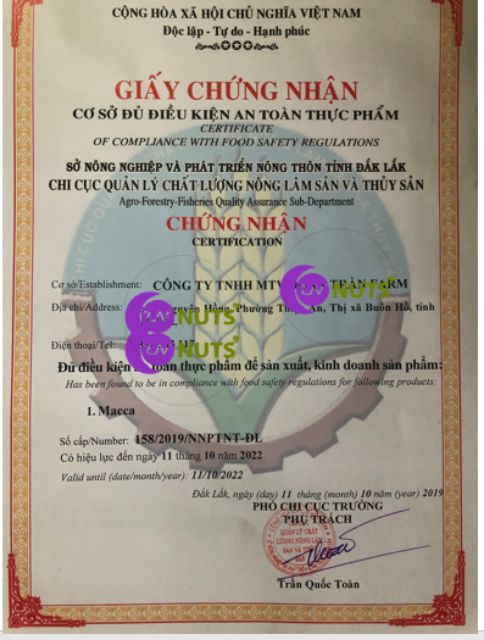 [Mã GROSALE2703 giảm 8% đơn 250K] 500g MACCA DAKLAK loại 1 LÊ NGUYỆT NỨT VỎ CHUẨN
