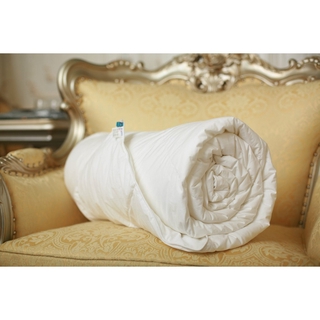 Ruột chăn MICRO Hanvico