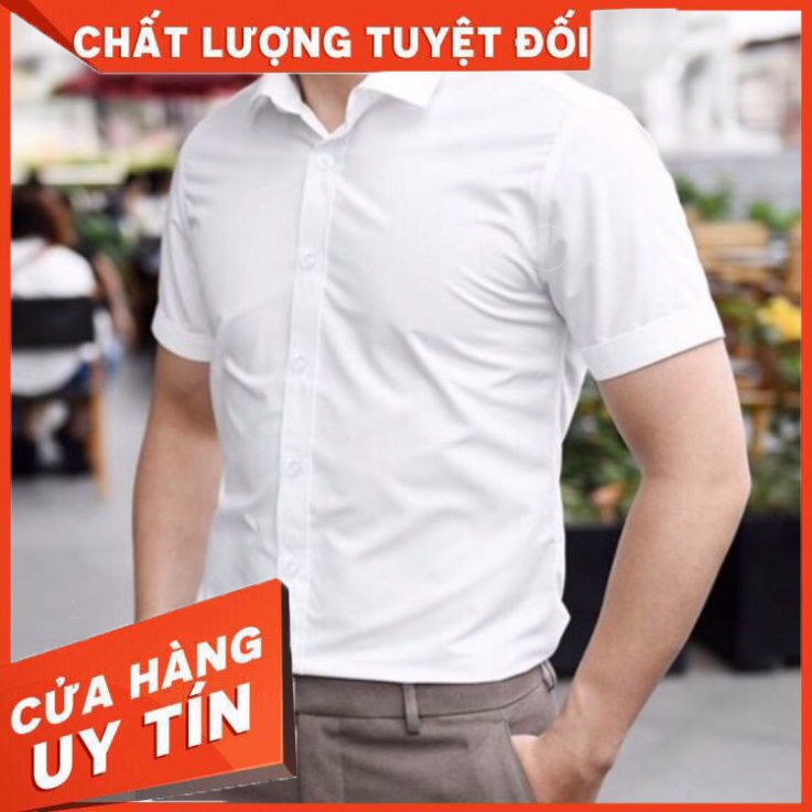 Áo sơ mi nam ngắn hàn quốc đẹp cao cấp Cộc Tay Trắng F8888 - Hàng nhập khẩu