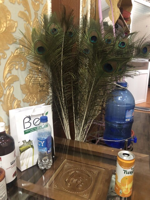 Lông công 45-50cm LOẠI 1 mắt 4-6cm | BigBuy360 - bigbuy360.vn