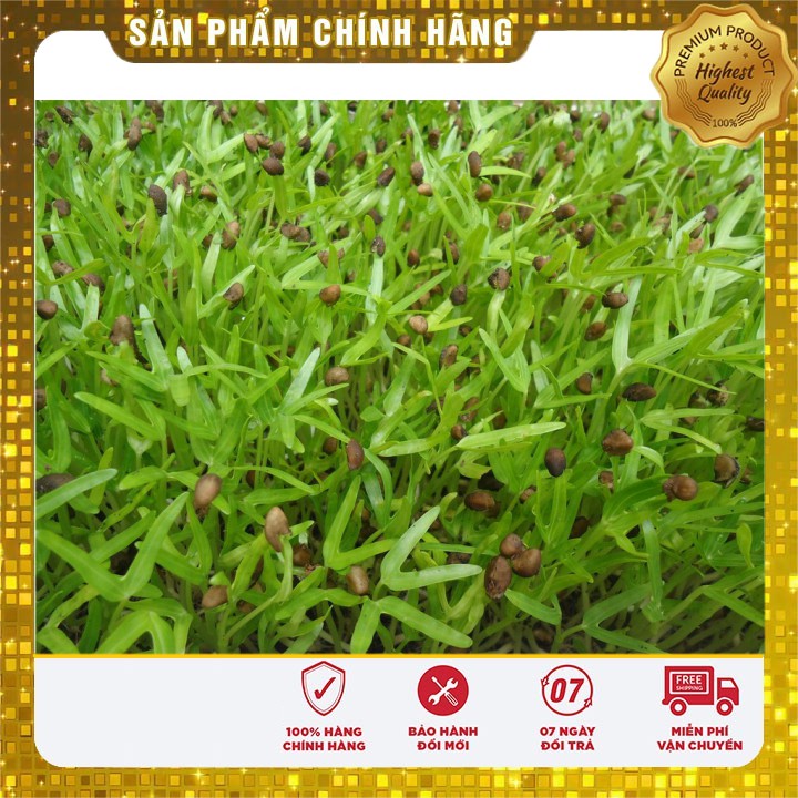 Hạt Giống Mầm Rau Muống ( 50 gram )