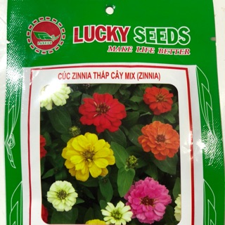 HẠT GIỐNG CÚC ZINNIA THẤP CÂY MIX (ZINNA)