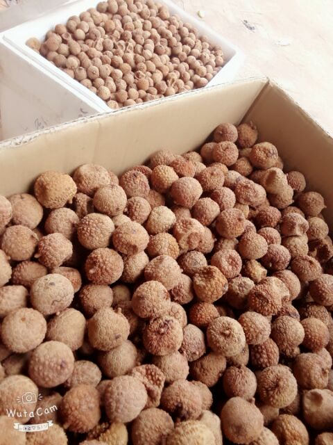 3 kg vải sấy bắc giang | BigBuy360 - bigbuy360.vn