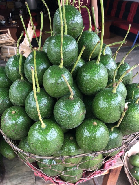 Bơ booth Lâm Đồng béo dẻo