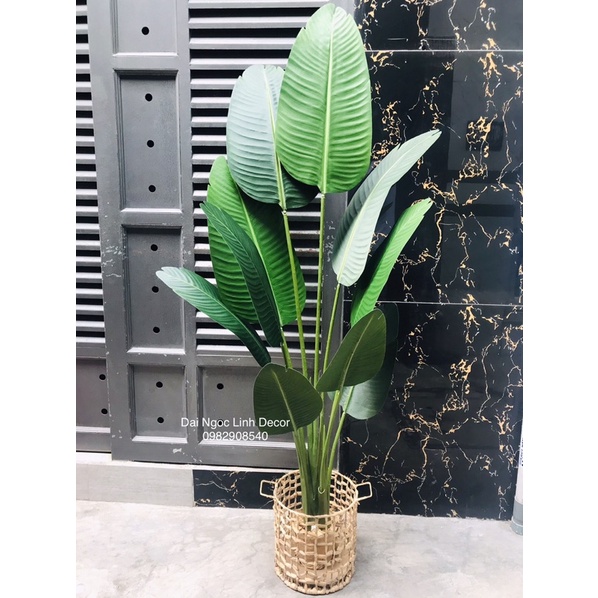 Cây chuối giả 1,6m