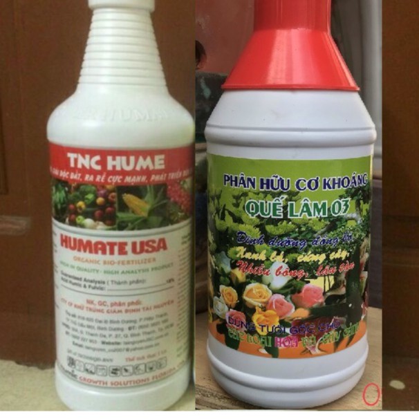 Bộ chăm sóc toàn diện hoa cây cảnh phân bón lá Humate 1lit + Phân hữu cơ khoáng siêu hoa, bông to Quế lâm 03 1lit
