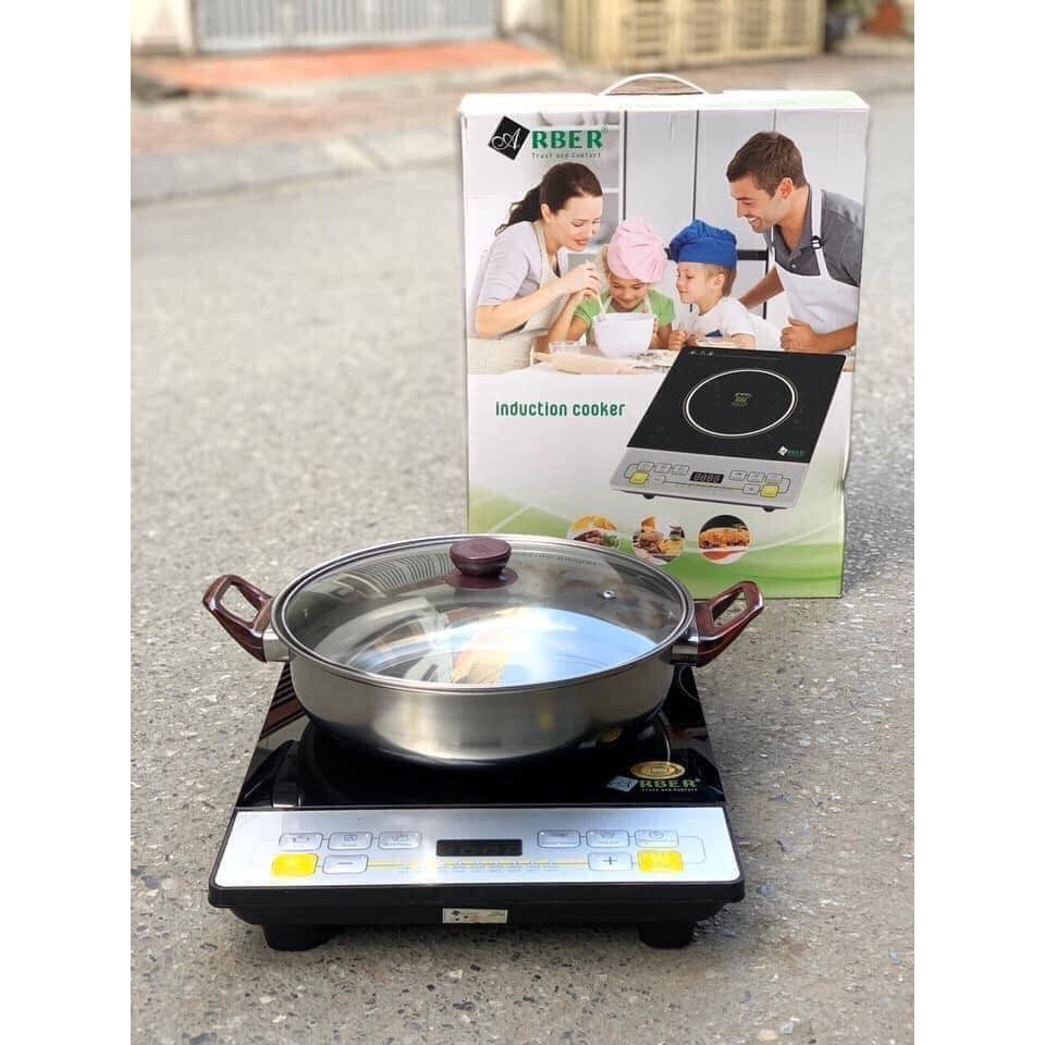 BẾP TỪ ĐƠN ARBER AB300 TẶNG KÈM NỔI LẨU NHƯ HÌNH