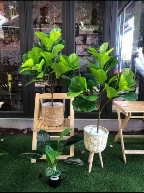 Cây bàng Singapore giả cao cấp cao 1 mét  - Không kèm chậu