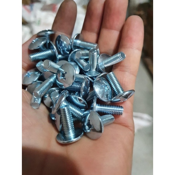 Ốc Yếm - Mặt Nạ - Zin