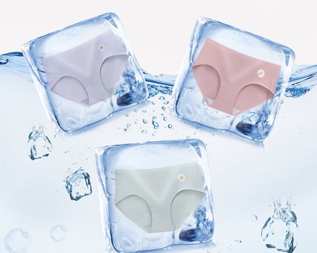 Quần Lót Nữ Kháng Khuẩn Hoa Cúc