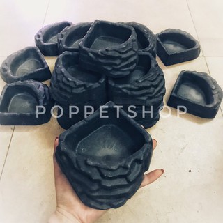 Máng nước cho bò sát