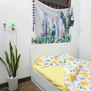 Bộ chăn ga 4 món cotton 3D hàng nhập